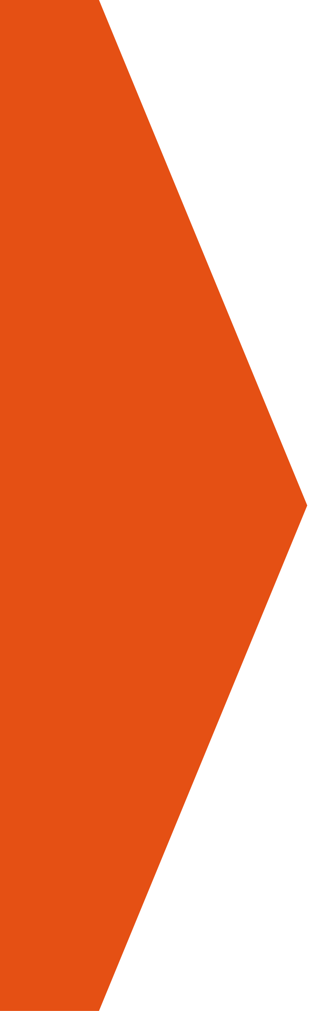 Orange Divider