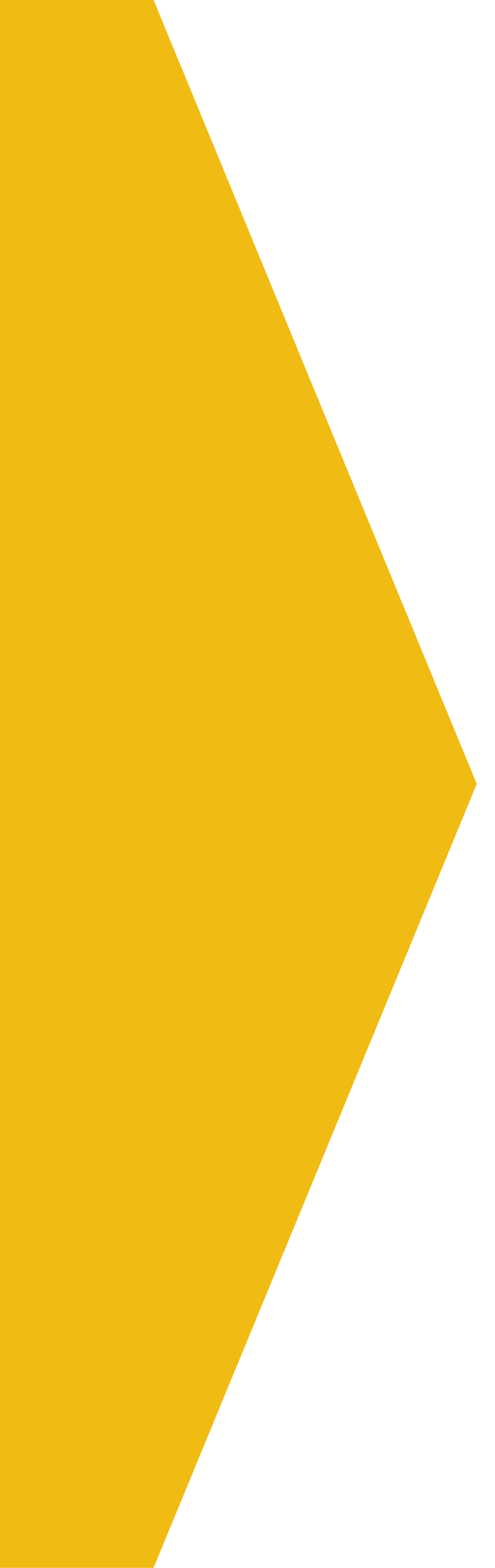 Yellow Divider