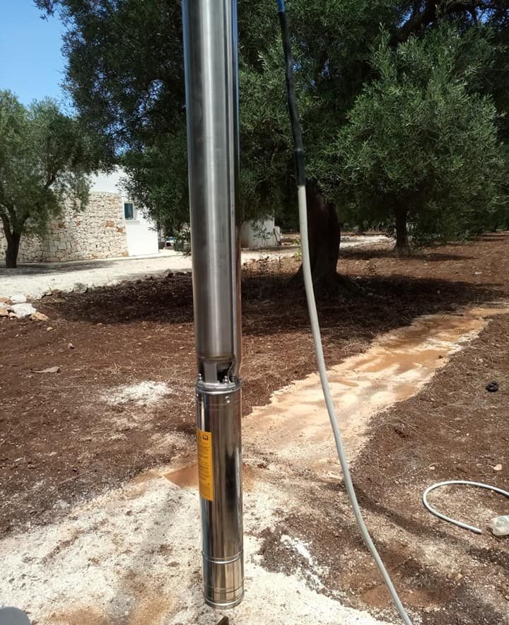 Pompa per pozzo in acciaio inossidabile con cavo elettrico all'esterno in un cortile, alberi sullo sfondo.