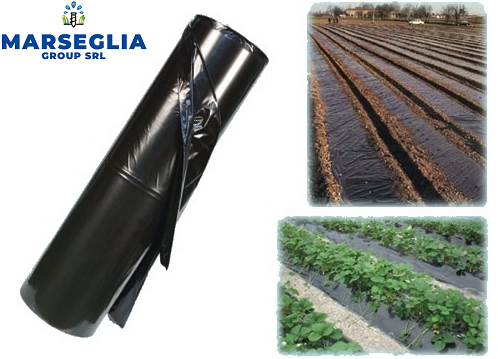 Rotolo di pacciame in plastica nera raffigurante campi agricoli in uso.