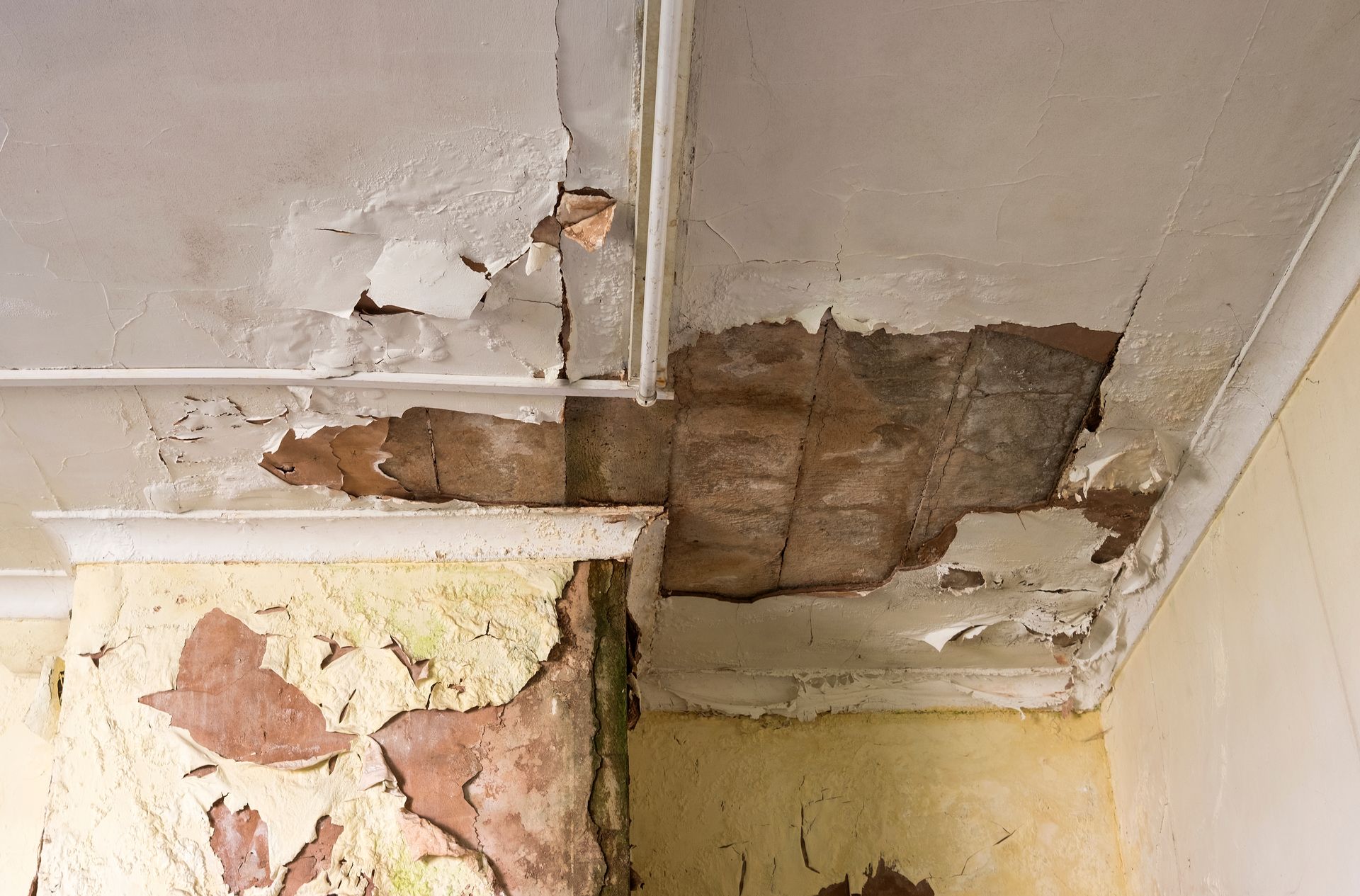 Damaged ceiling and wall, with peeling paint and exposed brick.