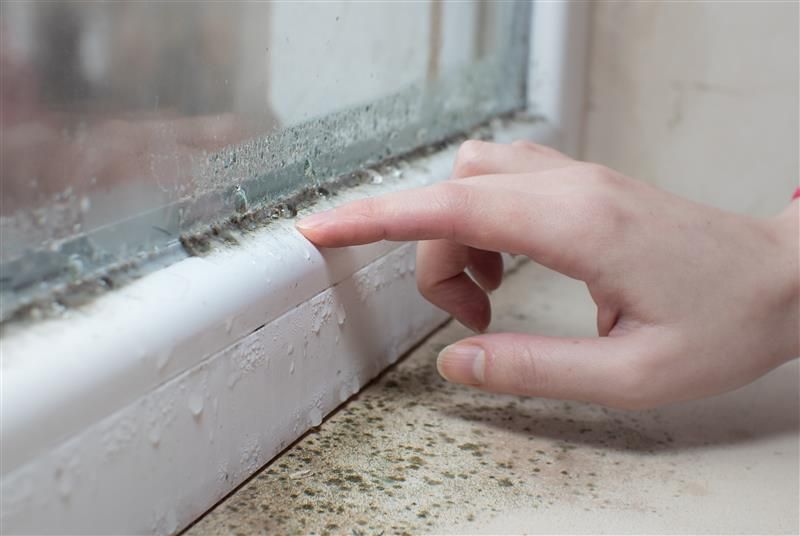 Finger touching mold on a window frame, indicating moisture and potential damage.