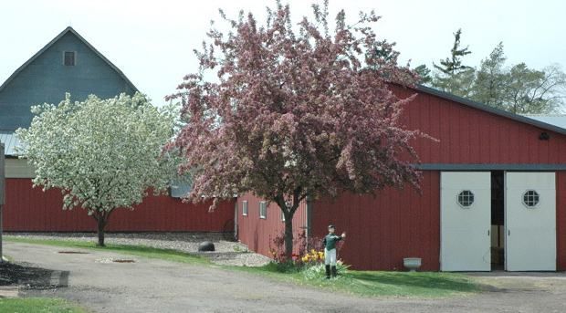 A red barn with a white door and two trees in front of it
