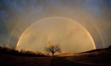 There is a double rainbow in the sky over a tree.