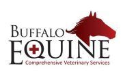 Buffalo Equine