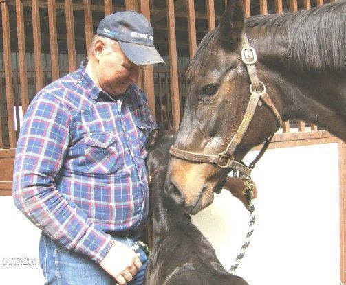 A man in a plaid shirt is standing next to a horse