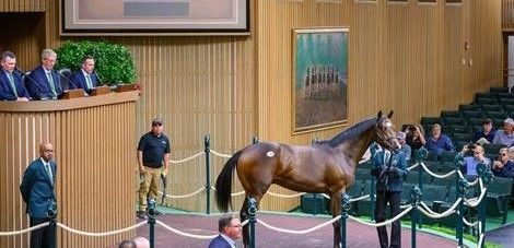 Two Horses Standing Next to Each Other — St. Michael, MN — Wind-N-Wood Farm