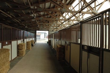 Hallway on the Barn — St. Michael, MN — Wind-N-Wood Farm