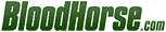 Blood Horse