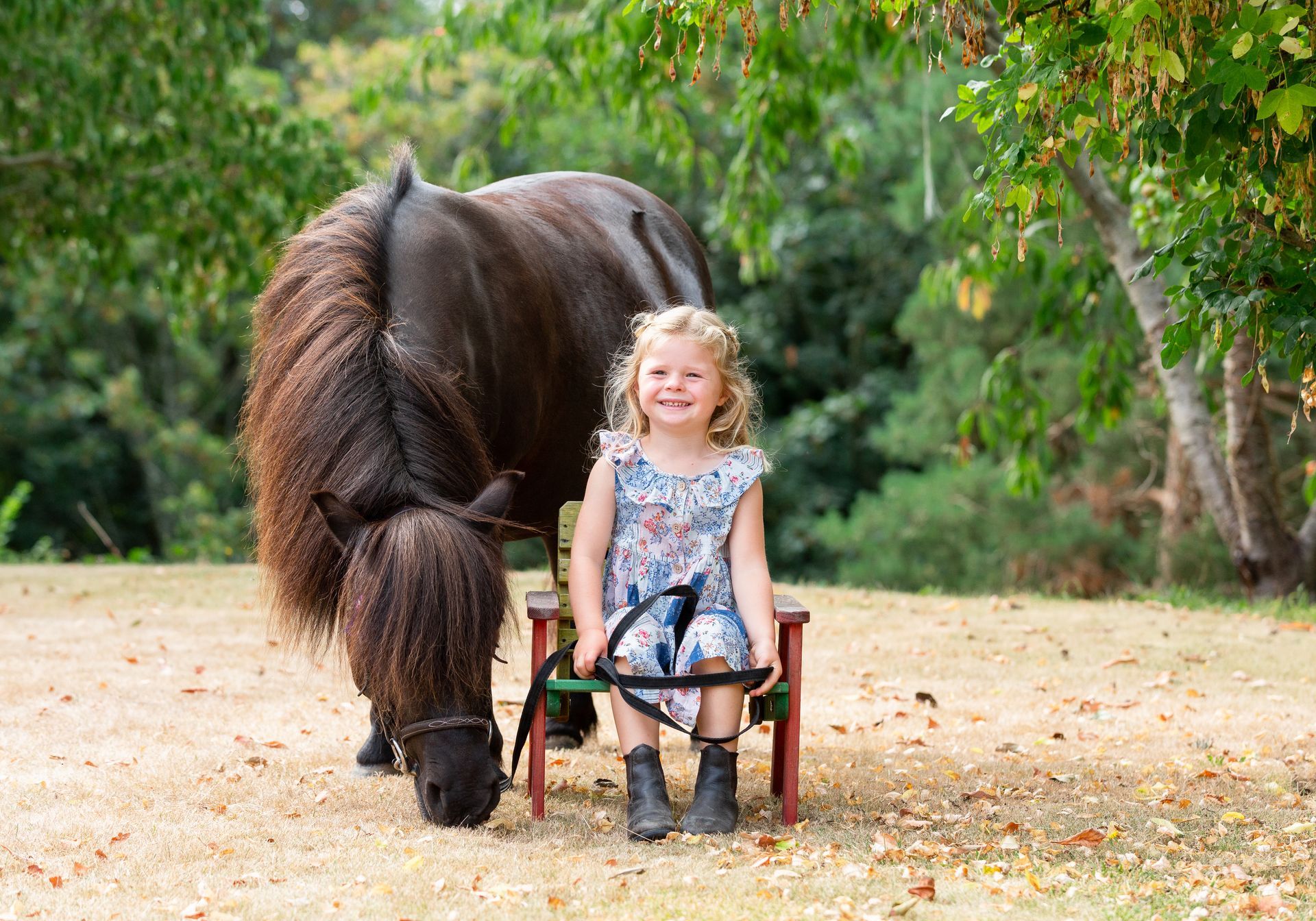 Girl sitting in a small chair with a pony, both looking at the camera. Outdoor setting with trees and dry grass.