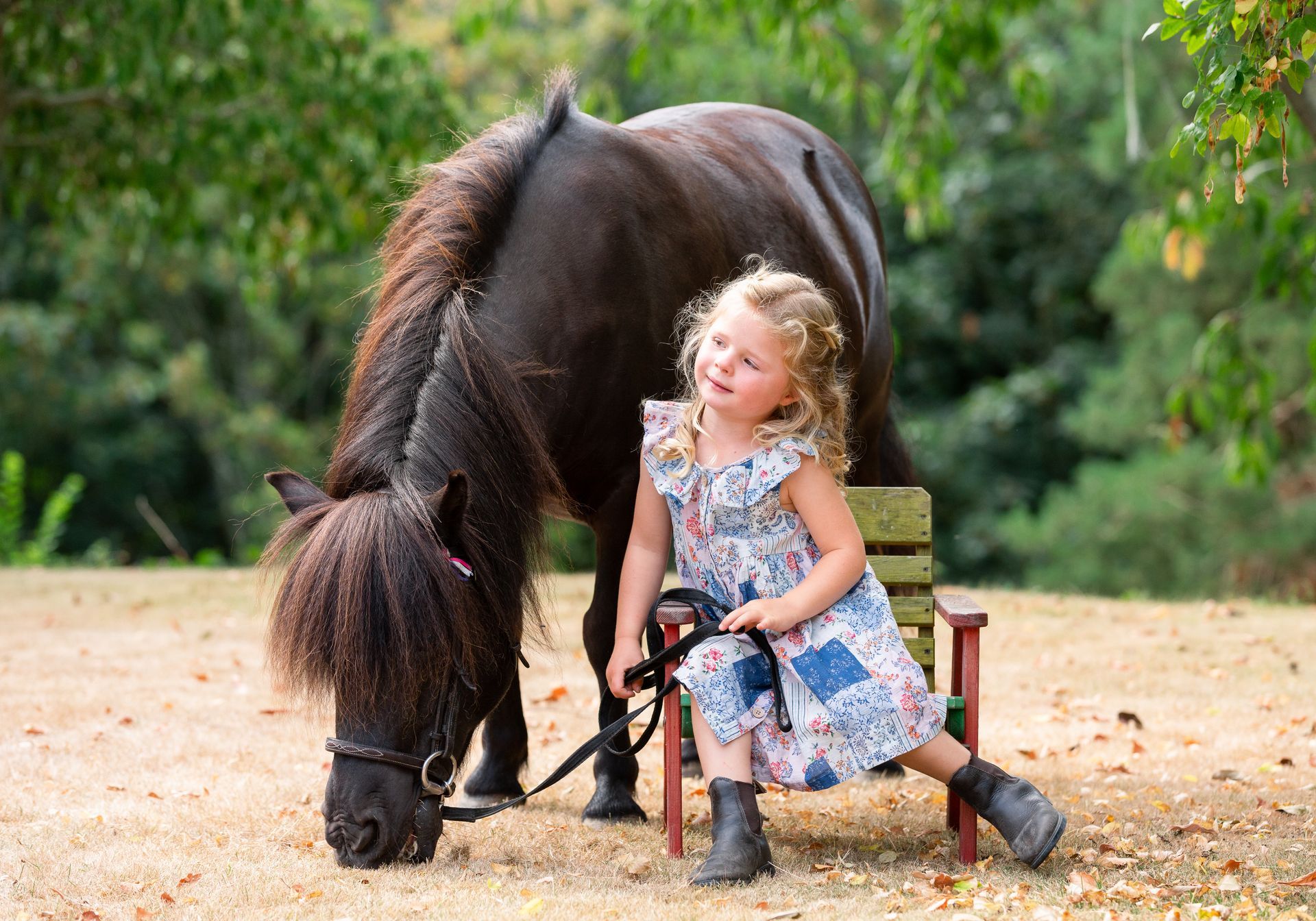 Girl in floral dress sits on bench next to a dark-haired pony in a grassy yard.