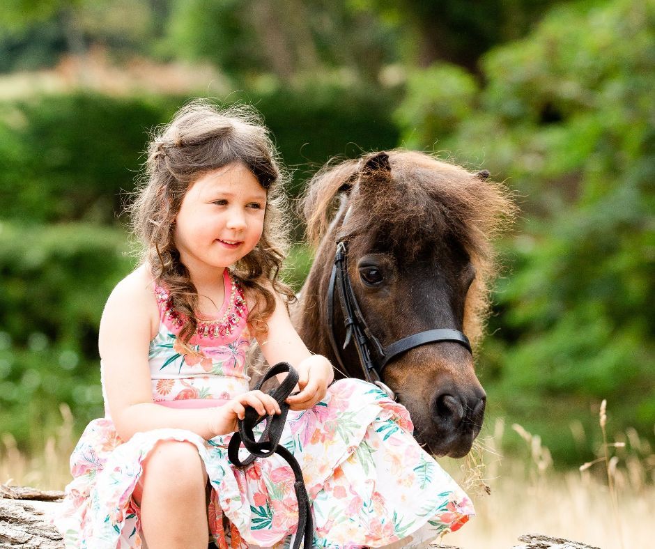 Pony and child