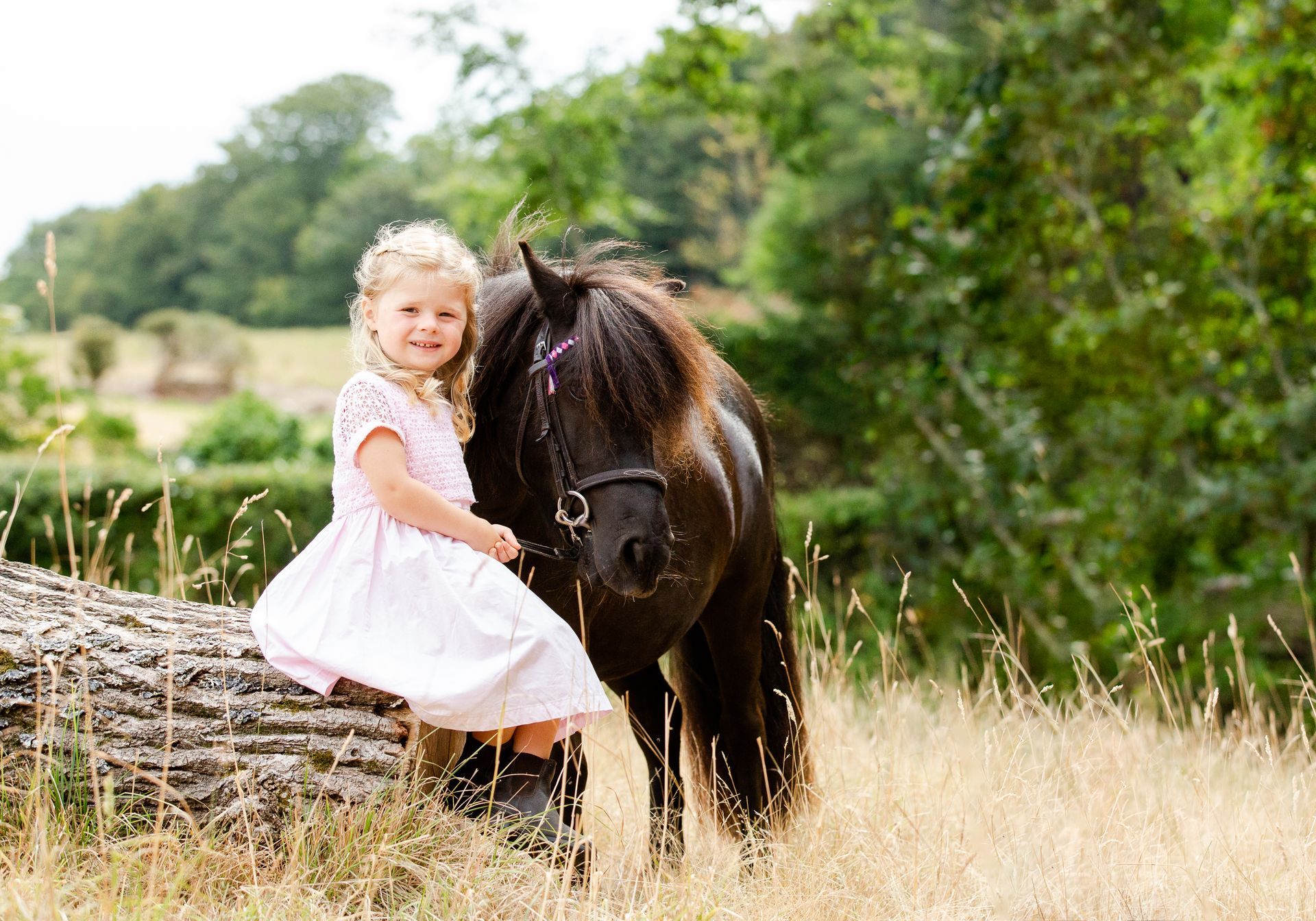 Girl in a pink dress sitting on a log next to a black pony in a field.