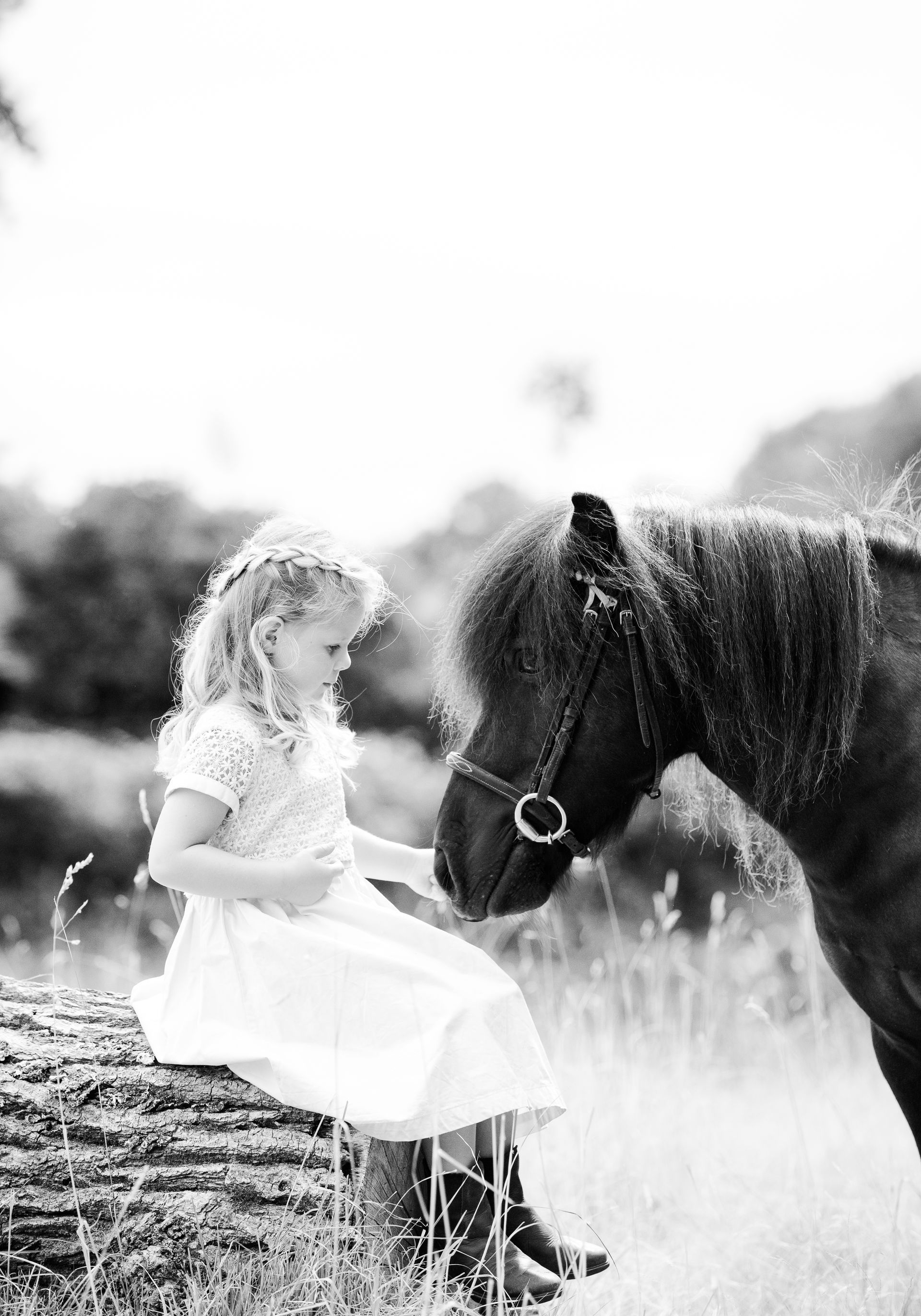 Girl in white dress sitting on log, petting small dark horse in grassy field.