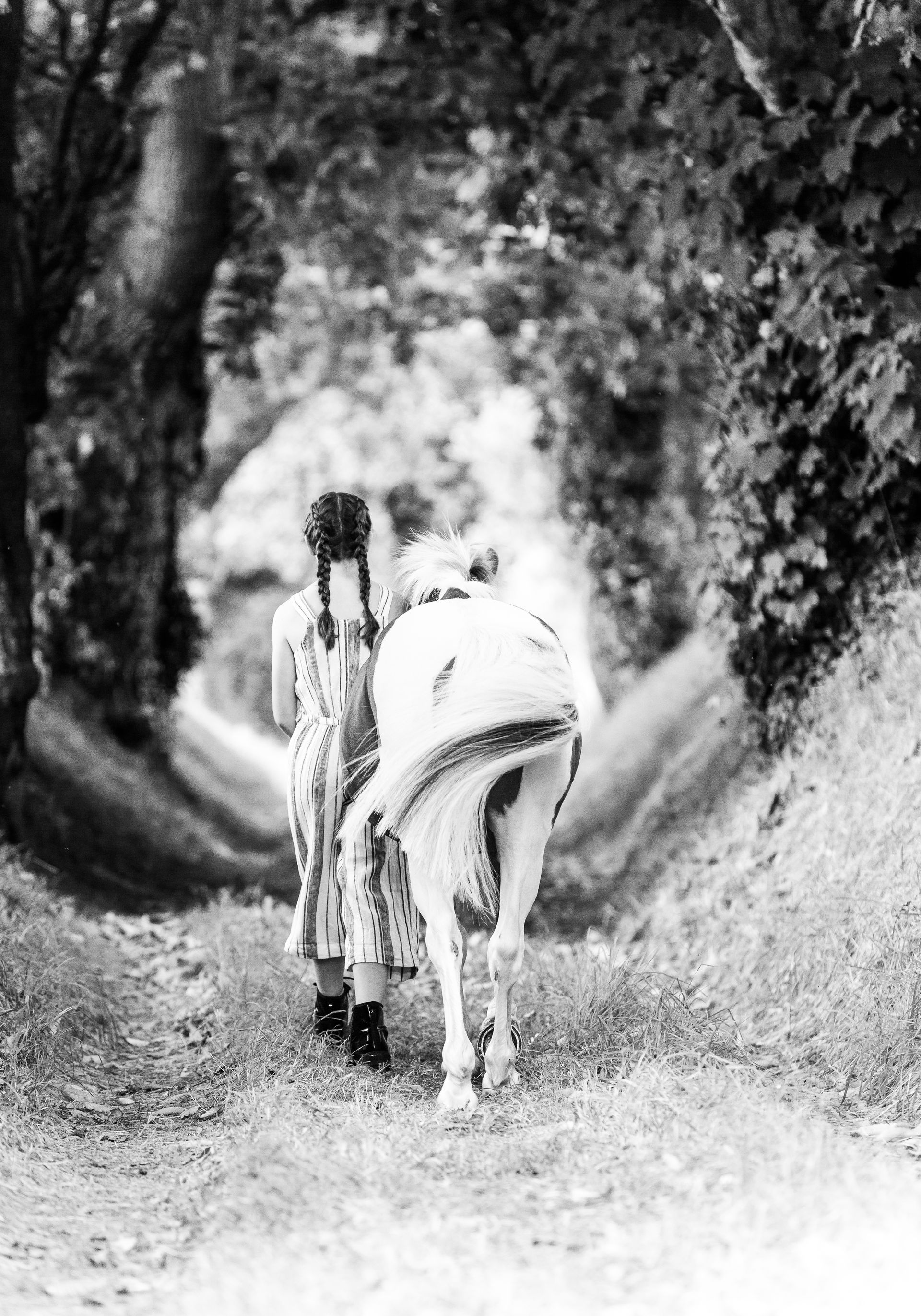 Person with braids walks beside a white horse along a tree-lined path.