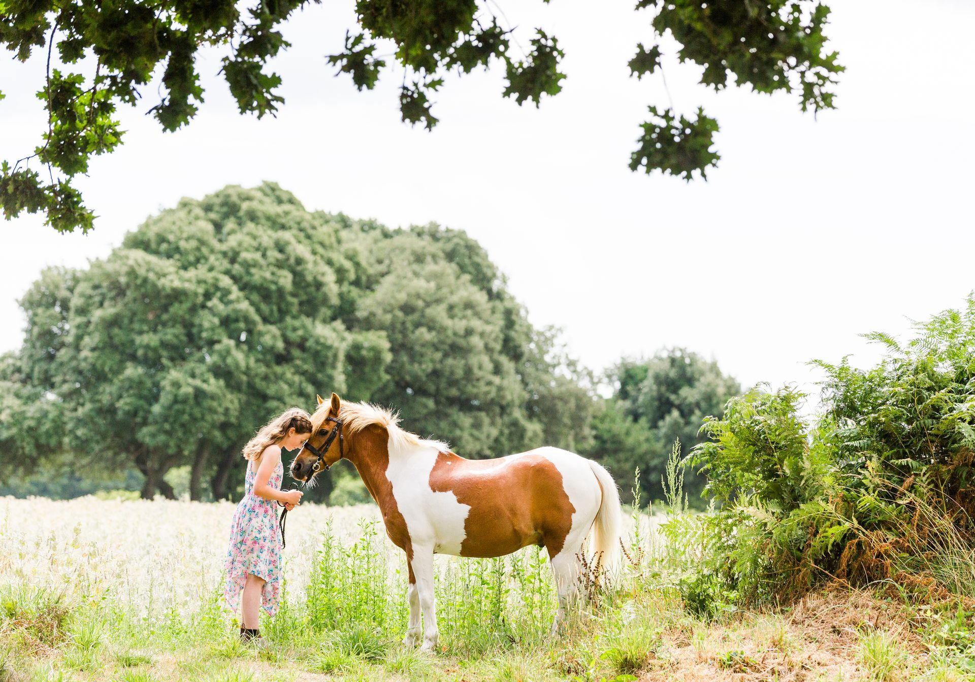 Woman with a spotted pony in a field, near trees. She is petting the horse's head.