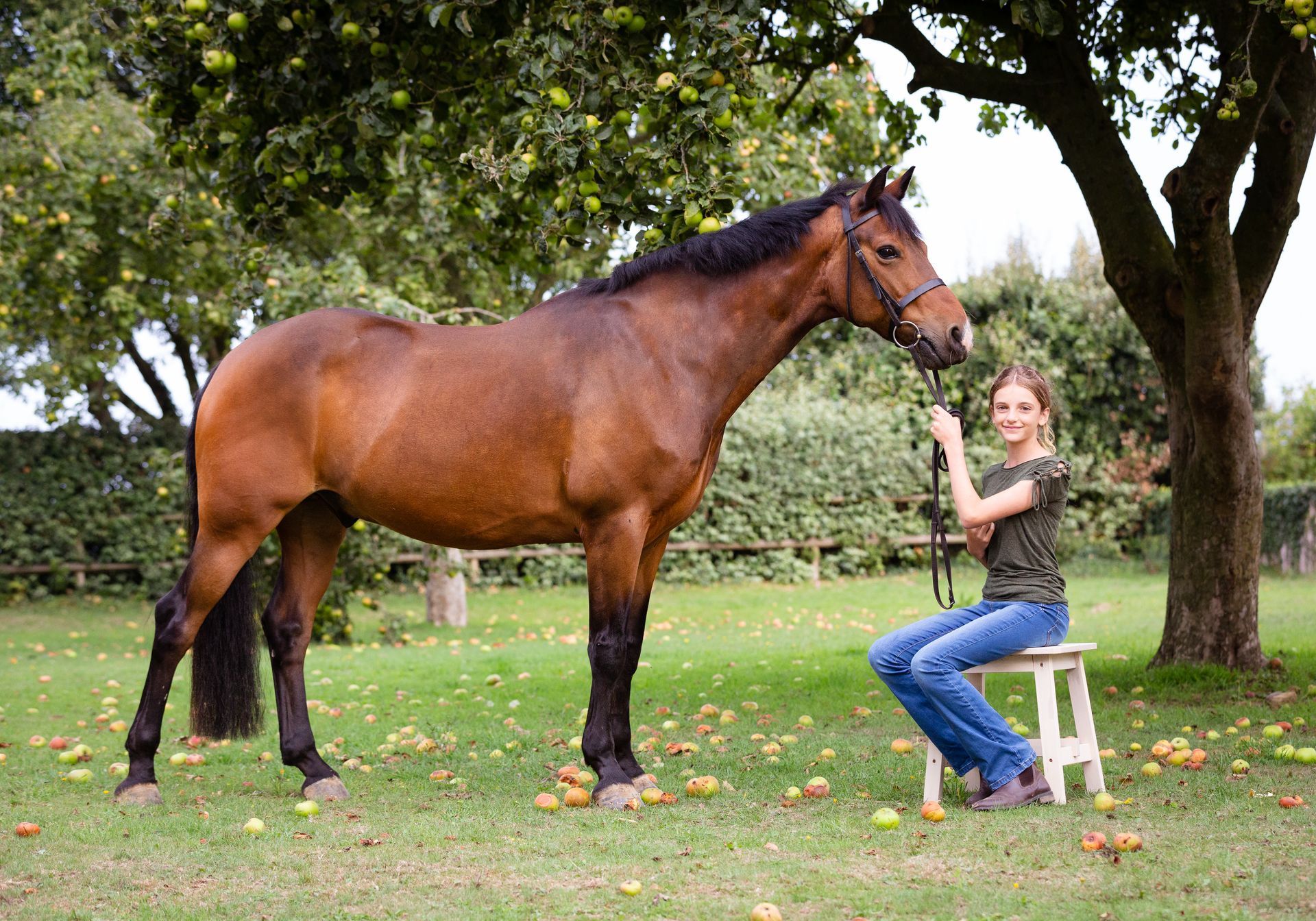 Brown horse stands near a woman sitting on a stool outdoors, holding its reins.