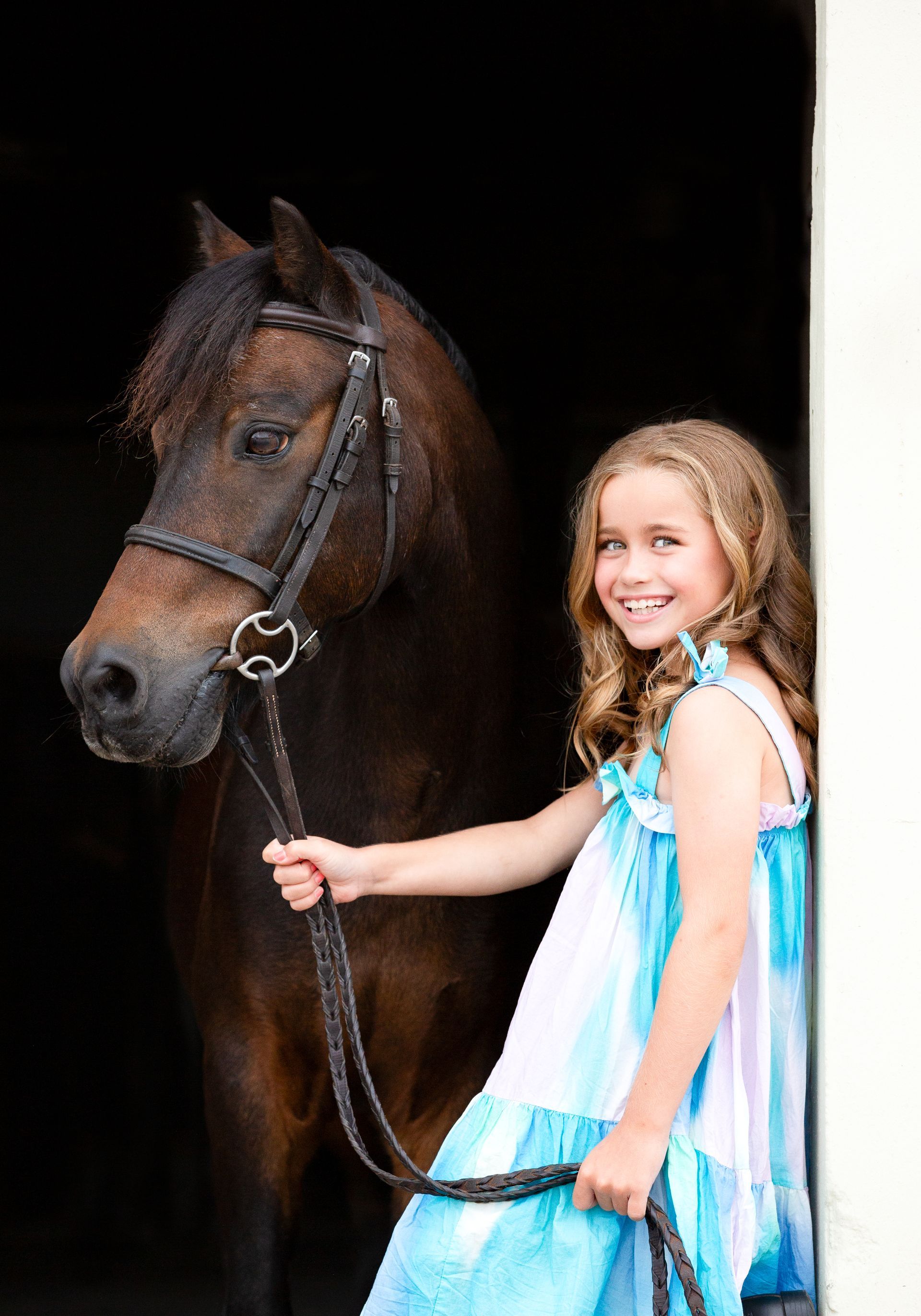 Palm trees against a blue and yellow sky.