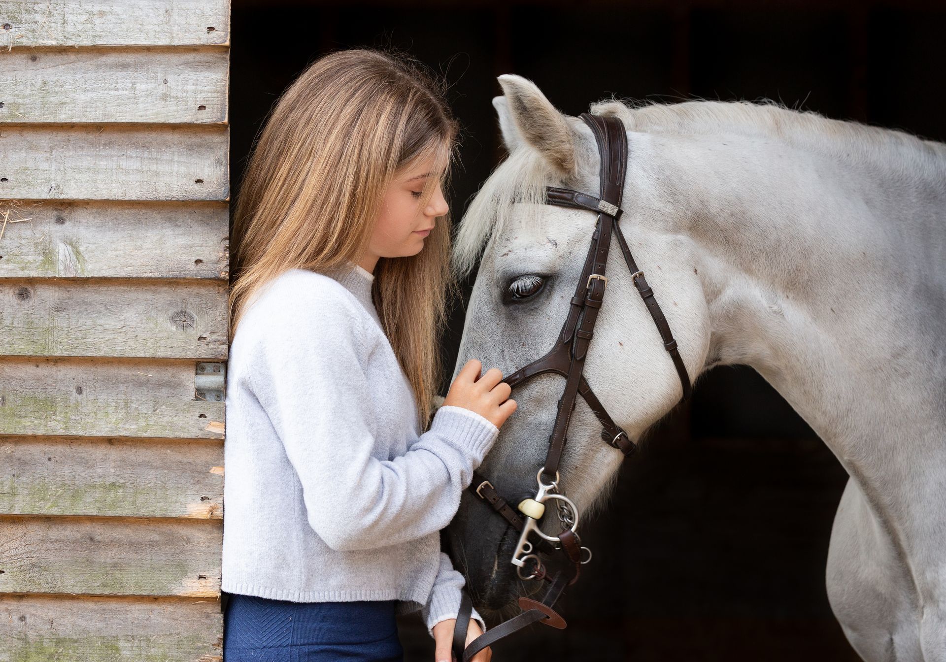 Woman petting a gray horse in a wooden barn. The horse is wearing a bridle.