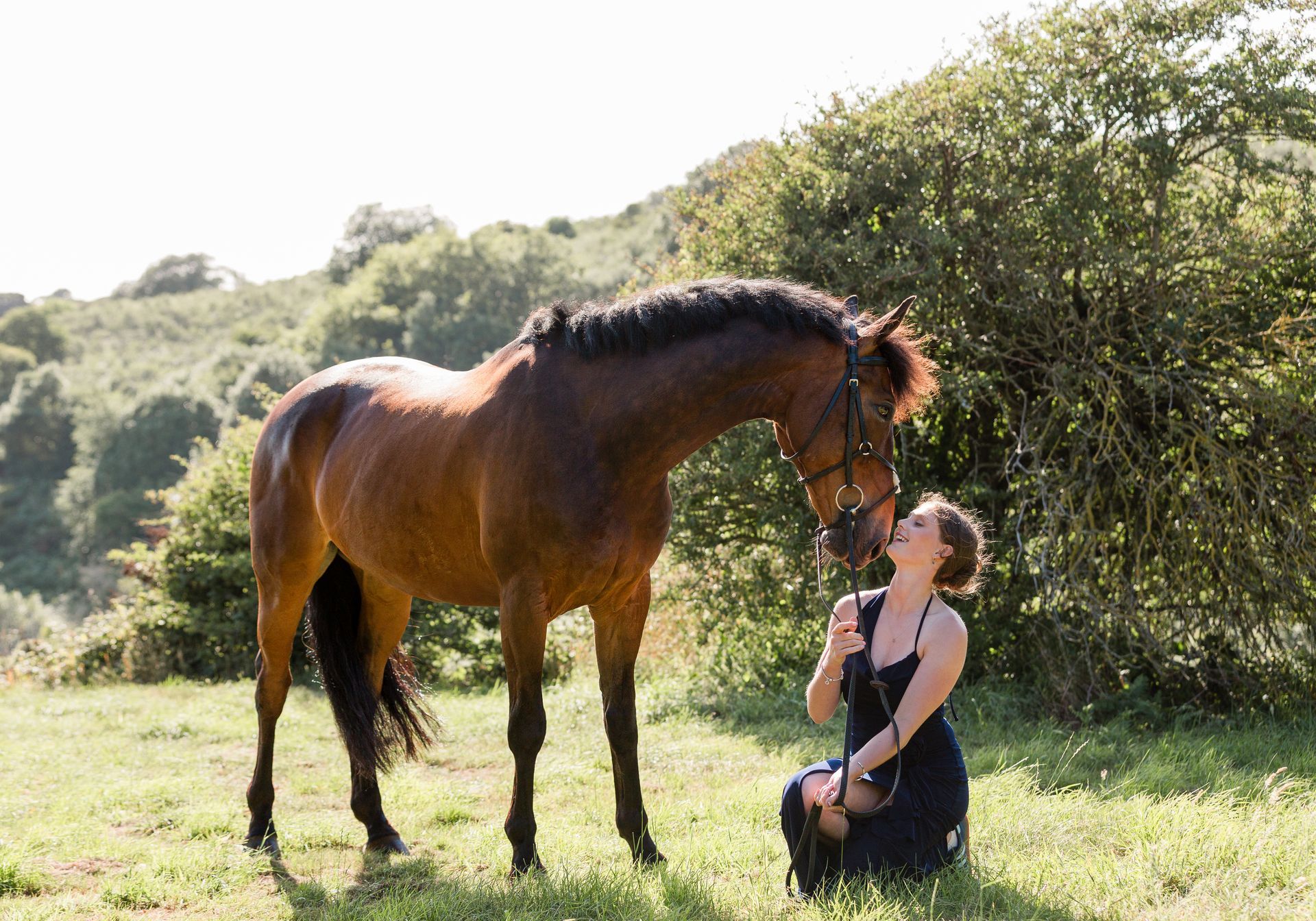 Palm trees against a colorful sky.
