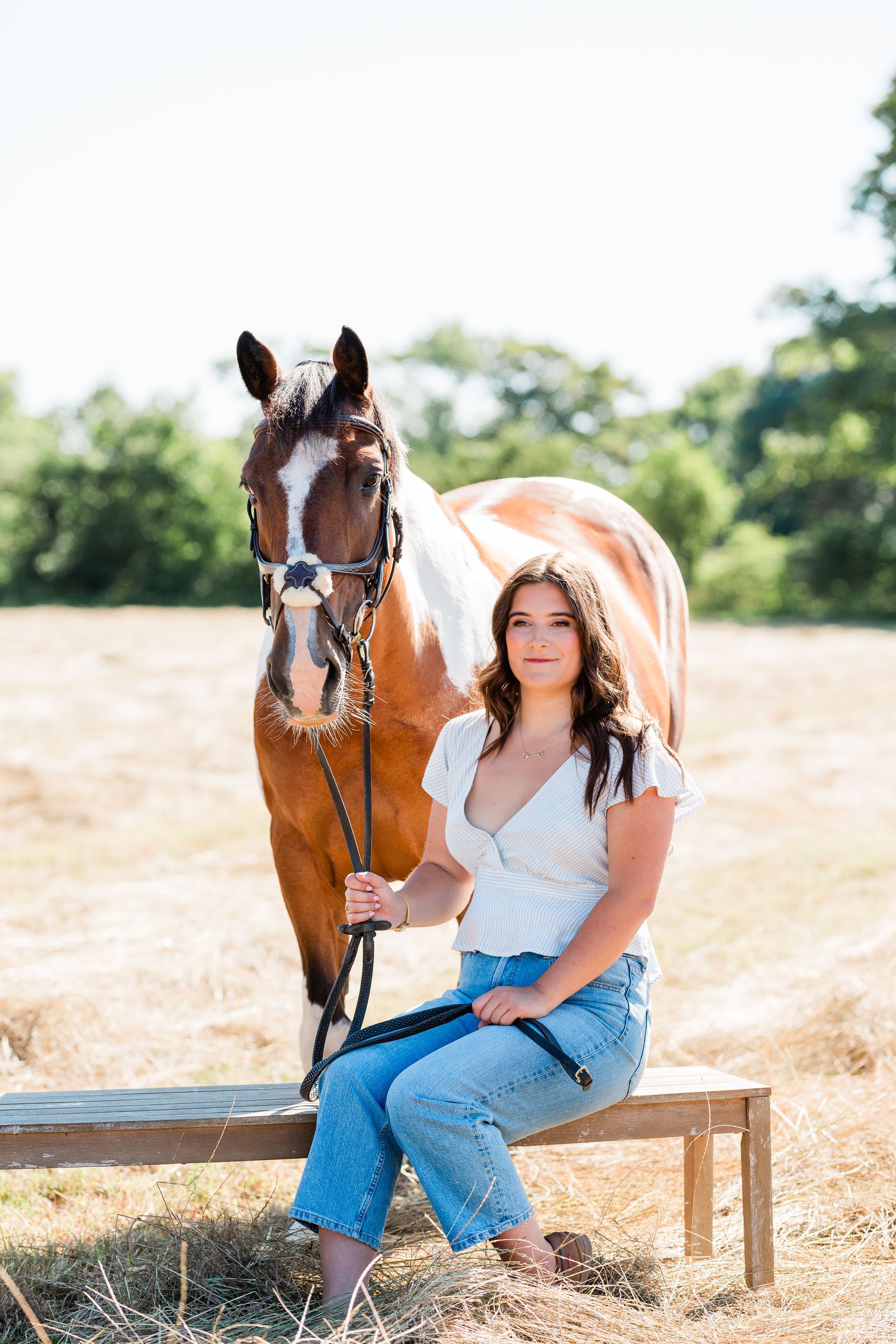 Young person sits on a bench holding reins next to a brown and white horse in a field.