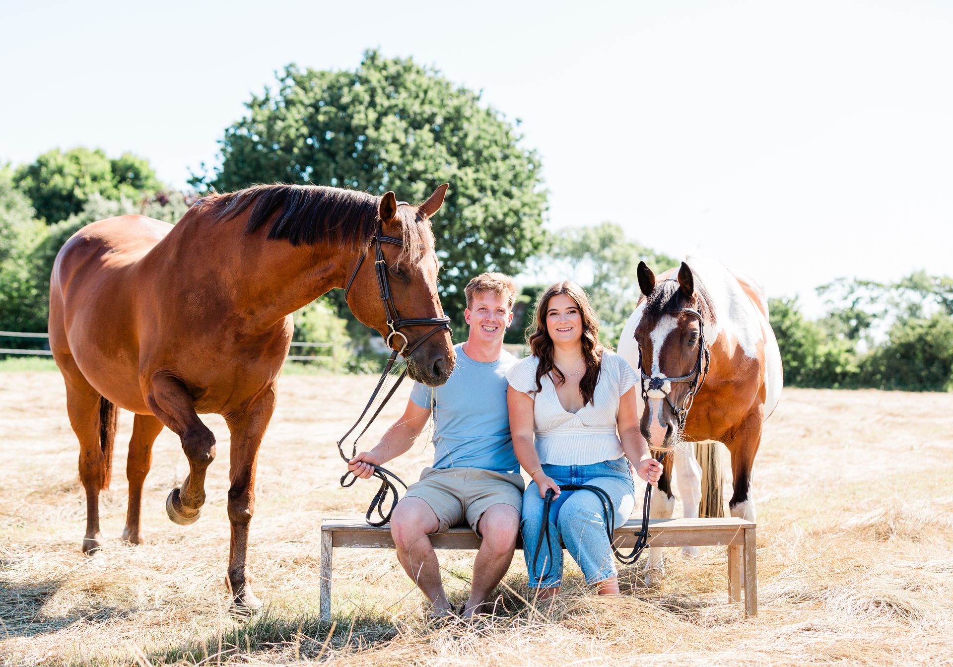 Palm trees against a colorful sky.