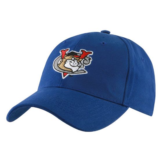 a blue baseball cap with a dog on it