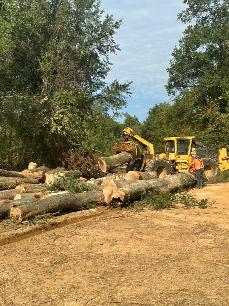 Logging equipment and logs at a clearing, trees in the background, a person in an orange vest.
