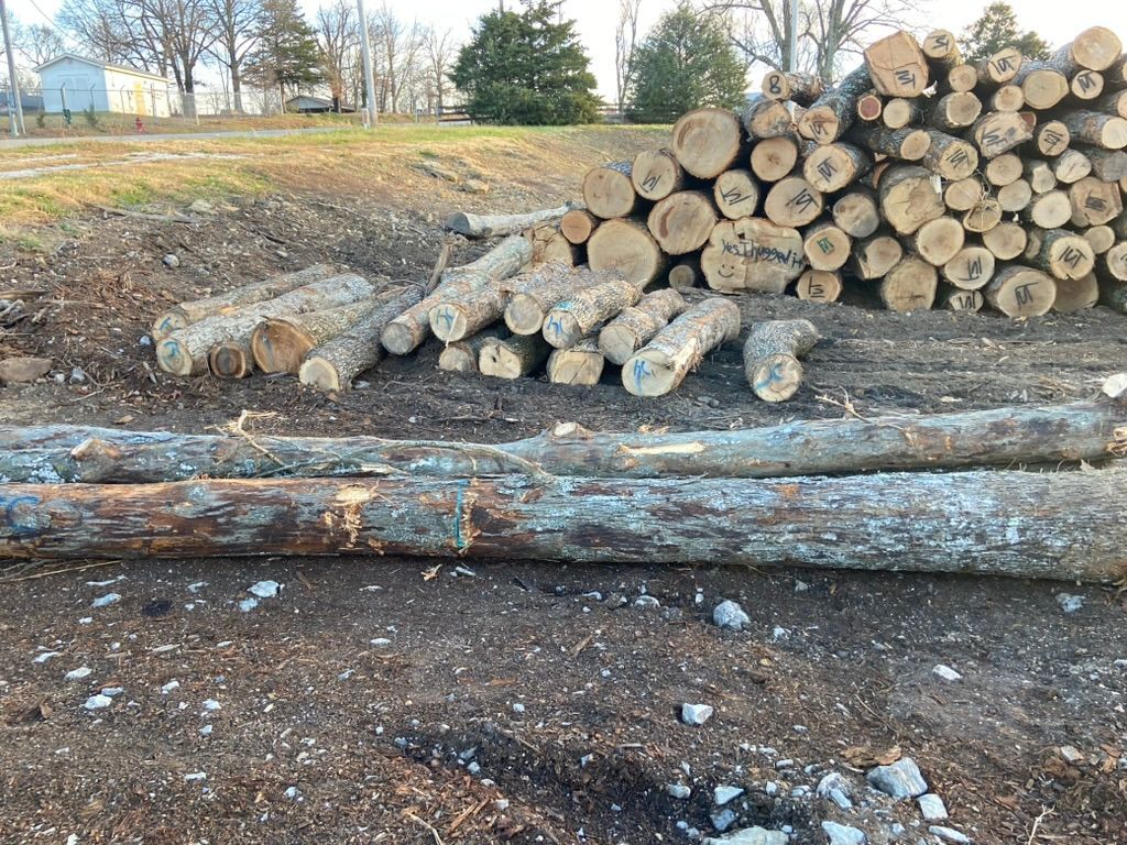 Logs of various sizes stacked on dirt and grass, trees in the background.