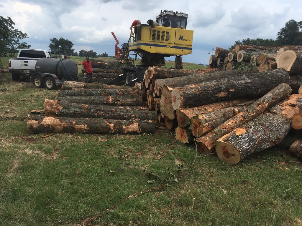 Logging operation with large logs, heavy machinery, truck, and a person in a field.