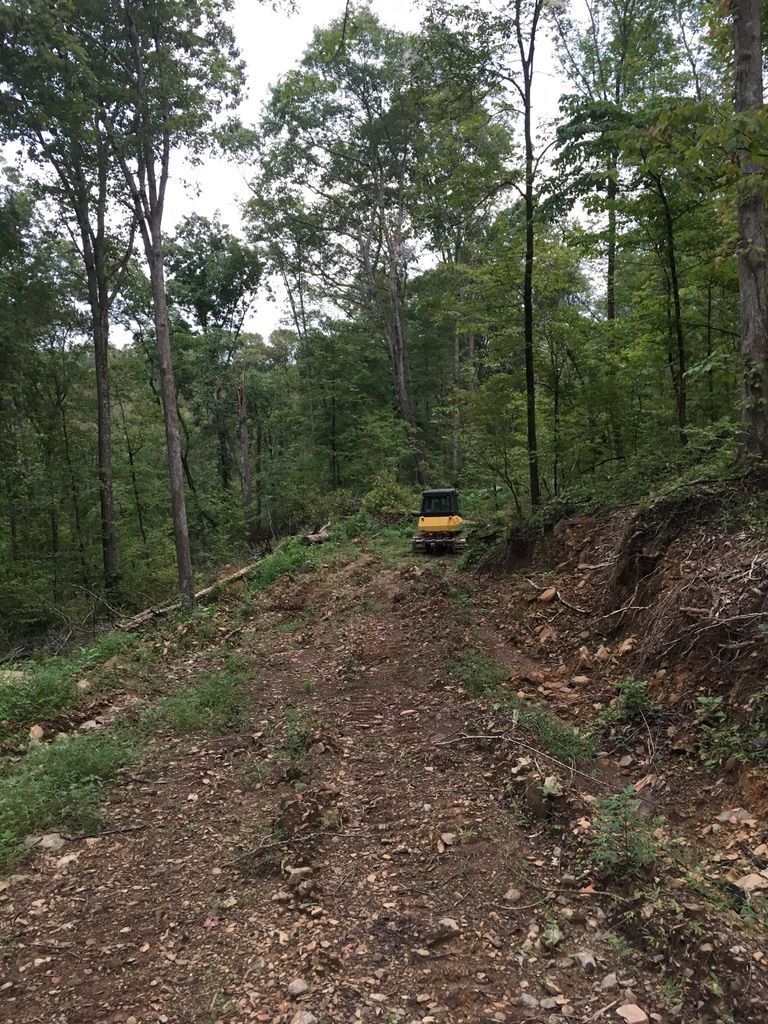 Dirt road winding through a forest, small yellow construction vehicle visible ahead.