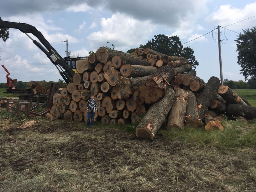 Pile of logs with a person standing beside them and a logging machine in a field.