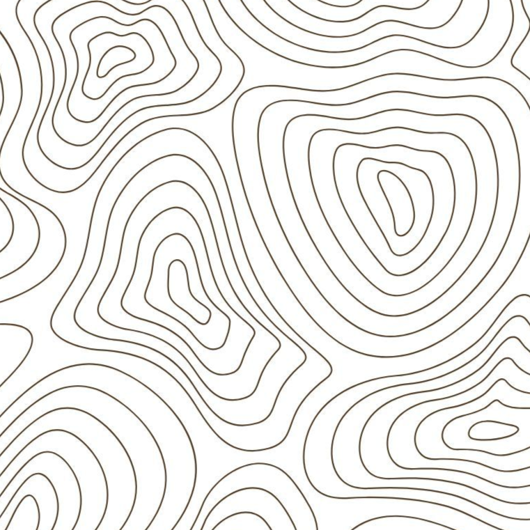 Contour lines, dark on white background, suggest a topographical map of an area with varied elevations.