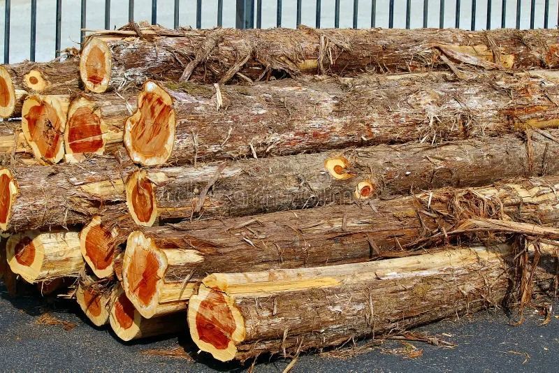 Pile of raw, cut logs with visible red and brown wood grain.