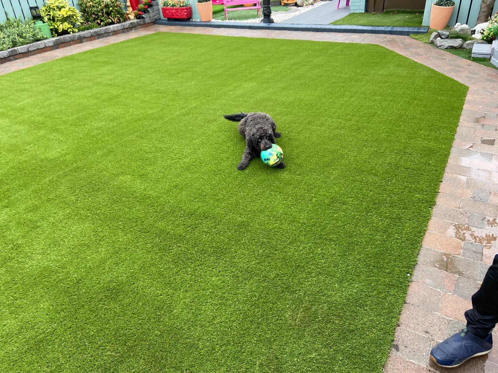pet friendly Artificial Grass 4