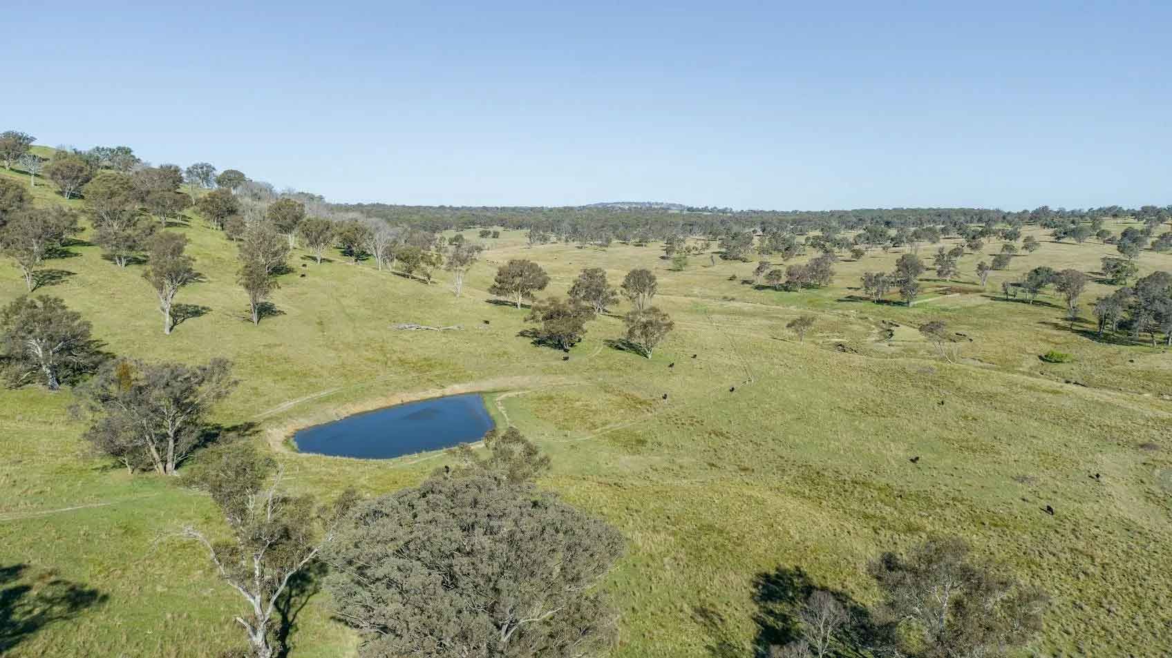An aerial view of a grassy field with a small pond in the middle.