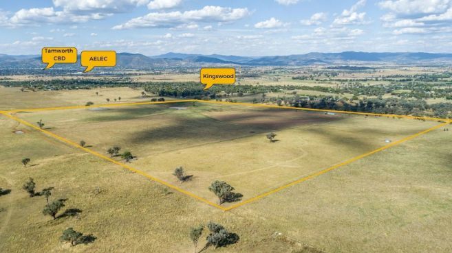 An aerial view of a field with trees and mountains in the background.