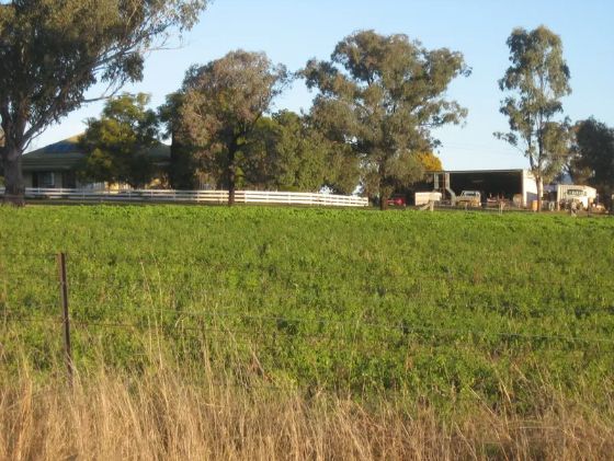 A large grassy field with a house in the background