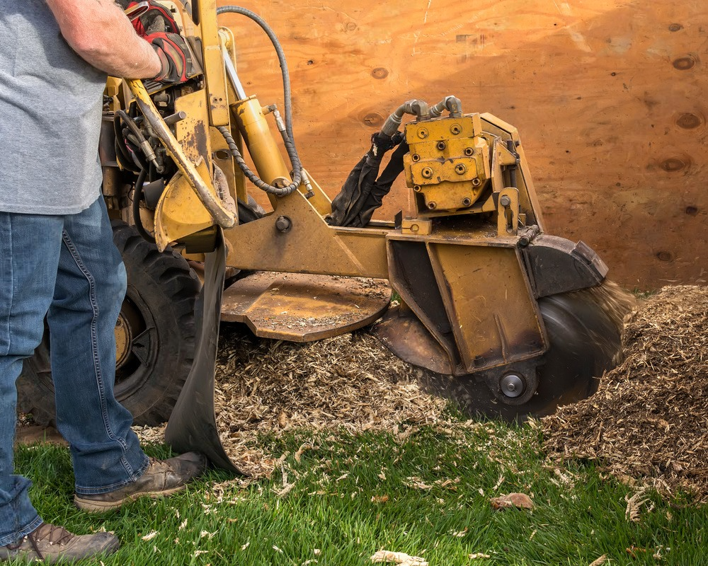 a man is standing in front of a machine that is cutting a tree stump