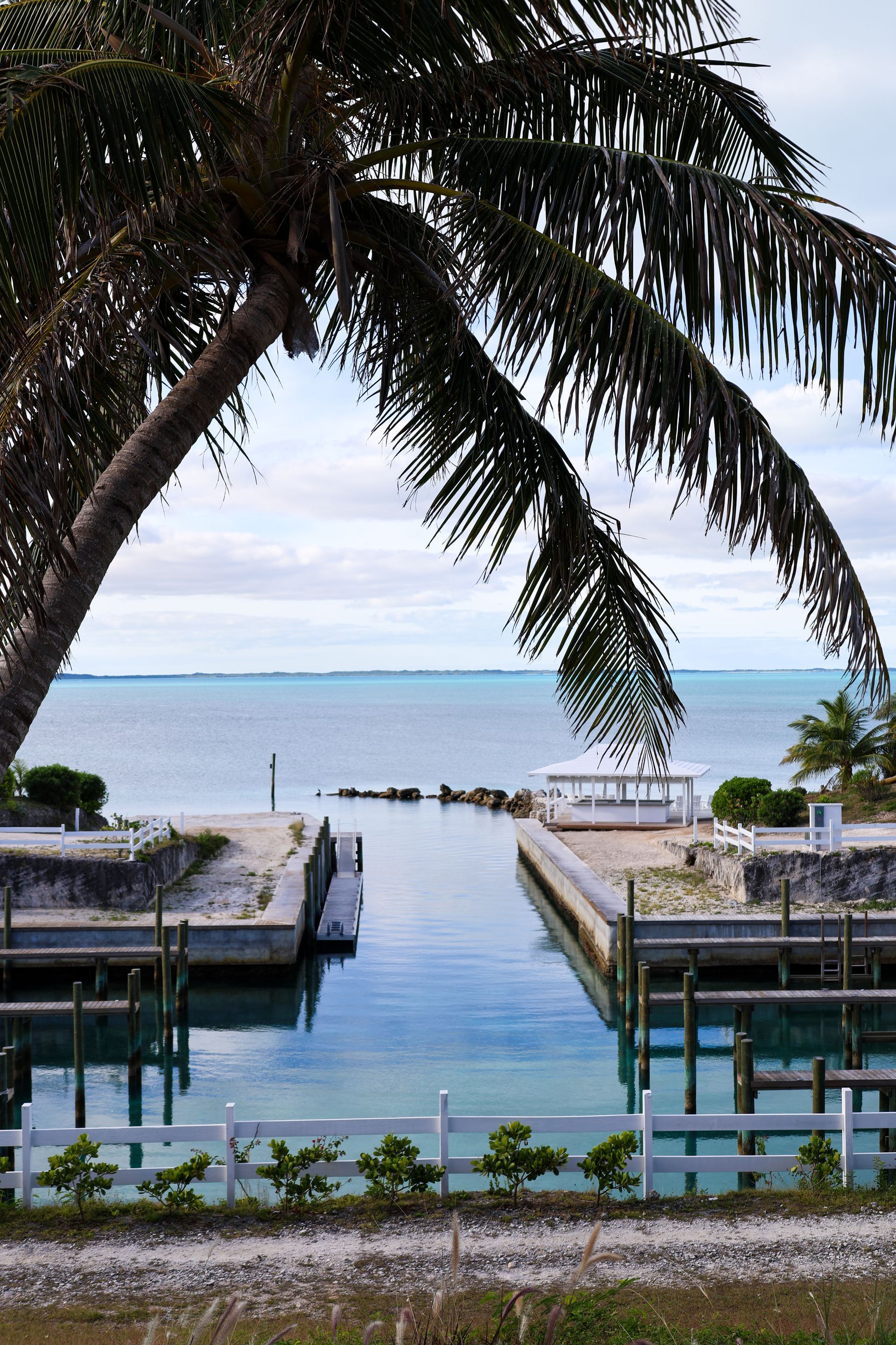 Palm tree frames calm blue water with docks, a white fence, and a distant coastline.
