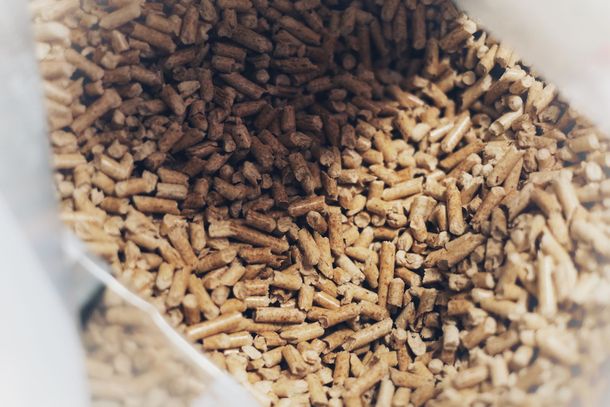 Un grande edificio con una scala di fronte