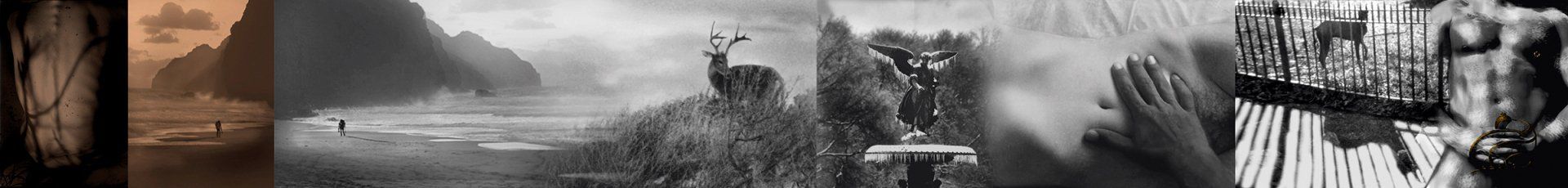 gravity+photography+memory+songs+metaphor+parade+bouquet