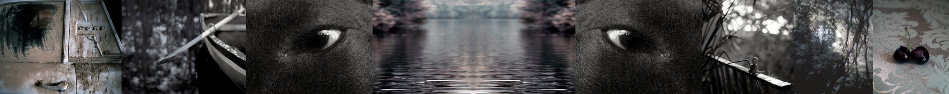 gravity+photography+memory+songs+metaphor+parade