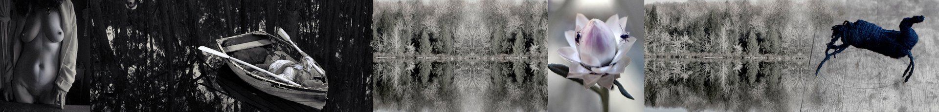 gravity+photography+memory+songs+metaphor+parade