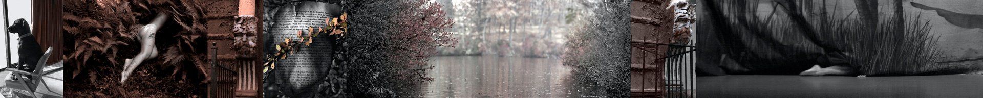 gravity+photography+memory+songs+metaphor+parade