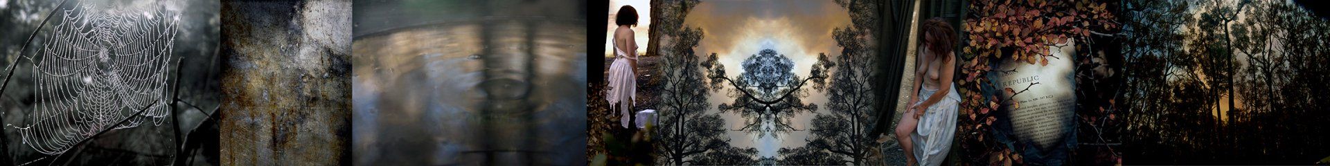 gravity+photography+memory+songs+metaphor+parade