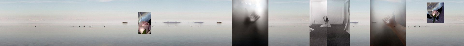 gravity+photography+memory+songs+metaphor+parade