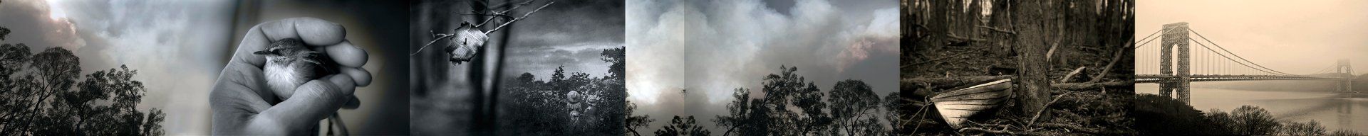 gravity+photography+memory+songs+metaphor+parade