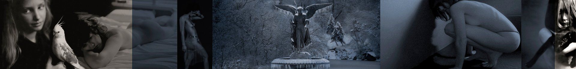 gravity+photography+memory+songs+metaphor+parade