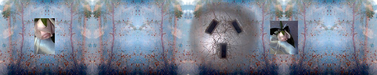 gravity+photography+memory+songs+metaphor+parade